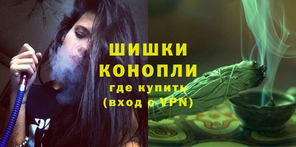 стафф Долгопрудный