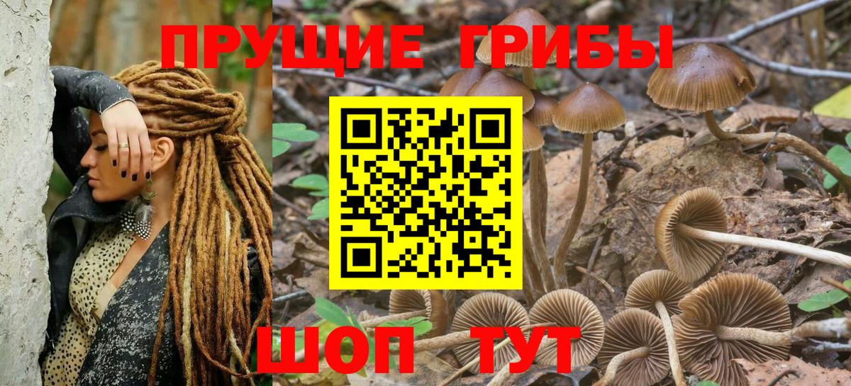 Галлюциногенные грибы мухоморы Тверь