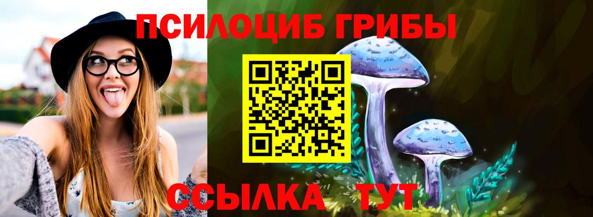 Тверь  Галлюциногенные грибы MAGIC MUSHROOMS  Псилоцибиновые грибы Psilocybine cubensis  Вход с VPN 